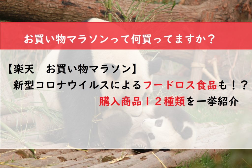 【楽天　お買い物マラソン】新型コロナ　フードロス食品も！？　購入商品１２種類を一挙紹介